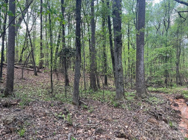 623 Mystic Way Lane, Waxhaw, NC 28173