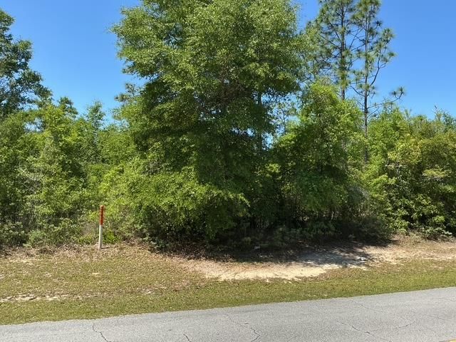 Country Club Boulevard, Chipley, FL 32428