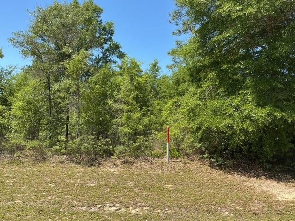 Country Club Boulevard, Chipley, FL 32428