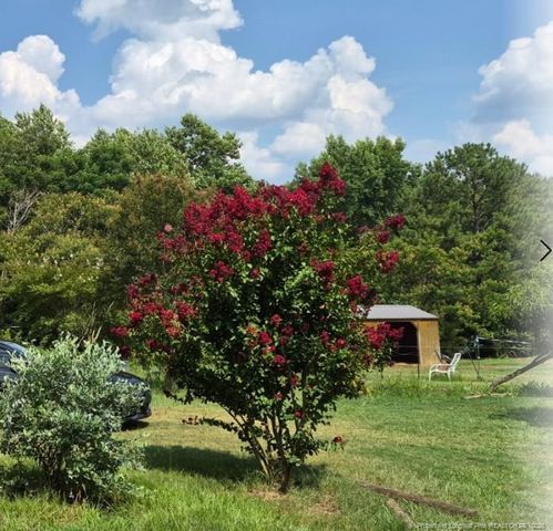 1011 Sweet Raspberry Lane, Lillington, NC 27546