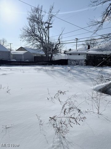 4218 W 143rd Street, Cleveland, OH 44135