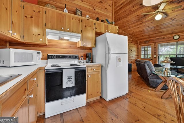 660 Ripshin Mountain Road, Blue Ridge, GA 30513