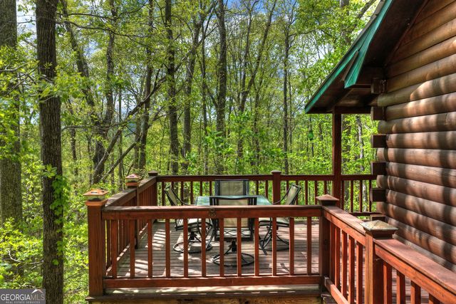 660 Ripshin Mountain Road, Blue Ridge, GA 30513