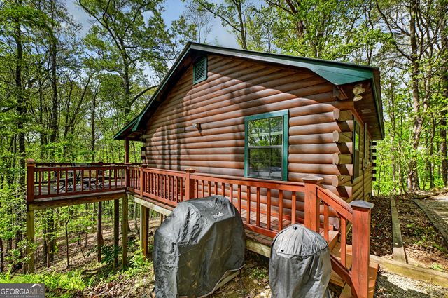 660 Ripshin Mountain Road, Blue Ridge, GA 30513