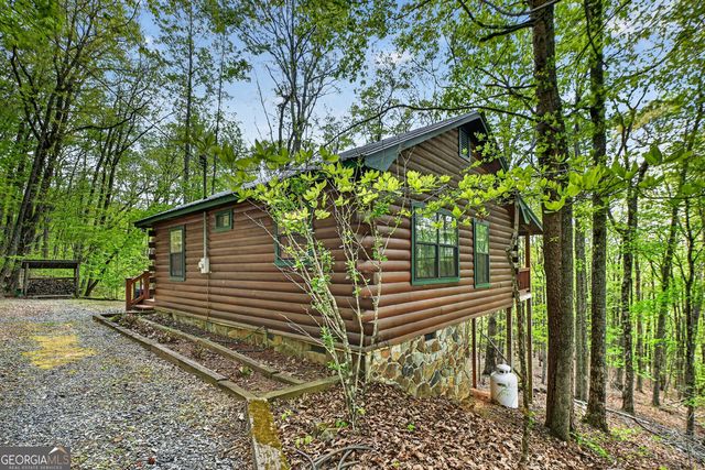660 Ripshin Mountain Road, Blue Ridge, GA 30513