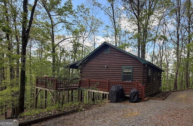 660 Ripshin Mountain Road, Blue Ridge, GA 30513
