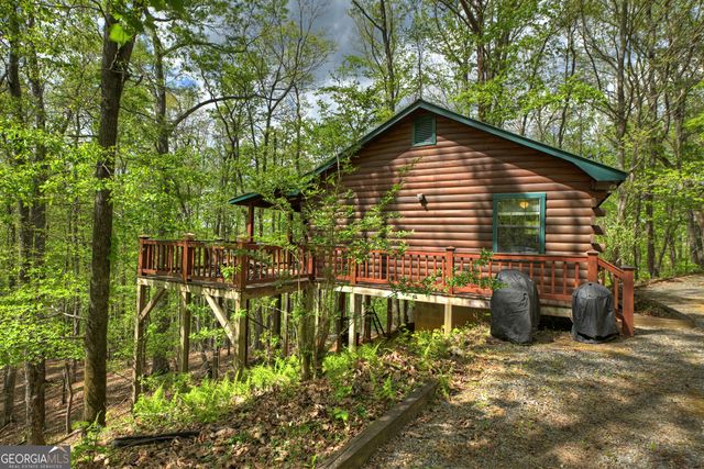 660 Ripshin Mountain Road, Blue Ridge, GA 30513