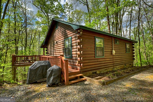 660 Ripshin Mountain Road, Blue Ridge, GA 30513