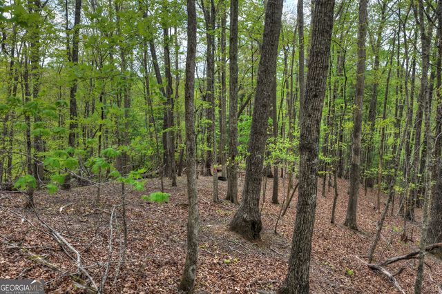 660 Ripshin Mountain Road, Blue Ridge, GA 30513