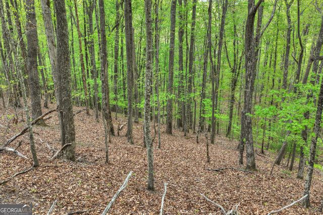 660 Ripshin Mountain Road, Blue Ridge, GA 30513