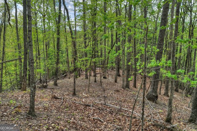 660 Ripshin Mountain Road, Blue Ridge, GA 30513