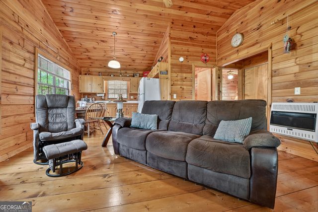 660 Ripshin Mountain Road, Blue Ridge, GA 30513
