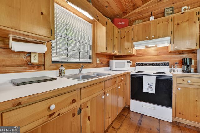 660 Ripshin Mountain Road, Blue Ridge, GA 30513