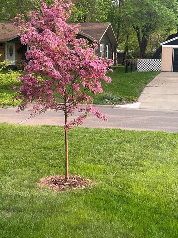 6731 Plymouth Avenue N, Golden Valley, MN 55427