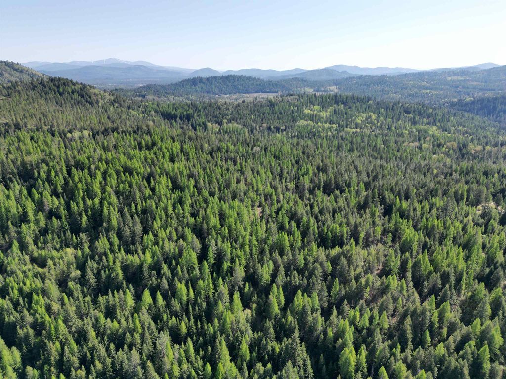 NKA LOOKOUT Rd, Newport, WA 99156 photo 23