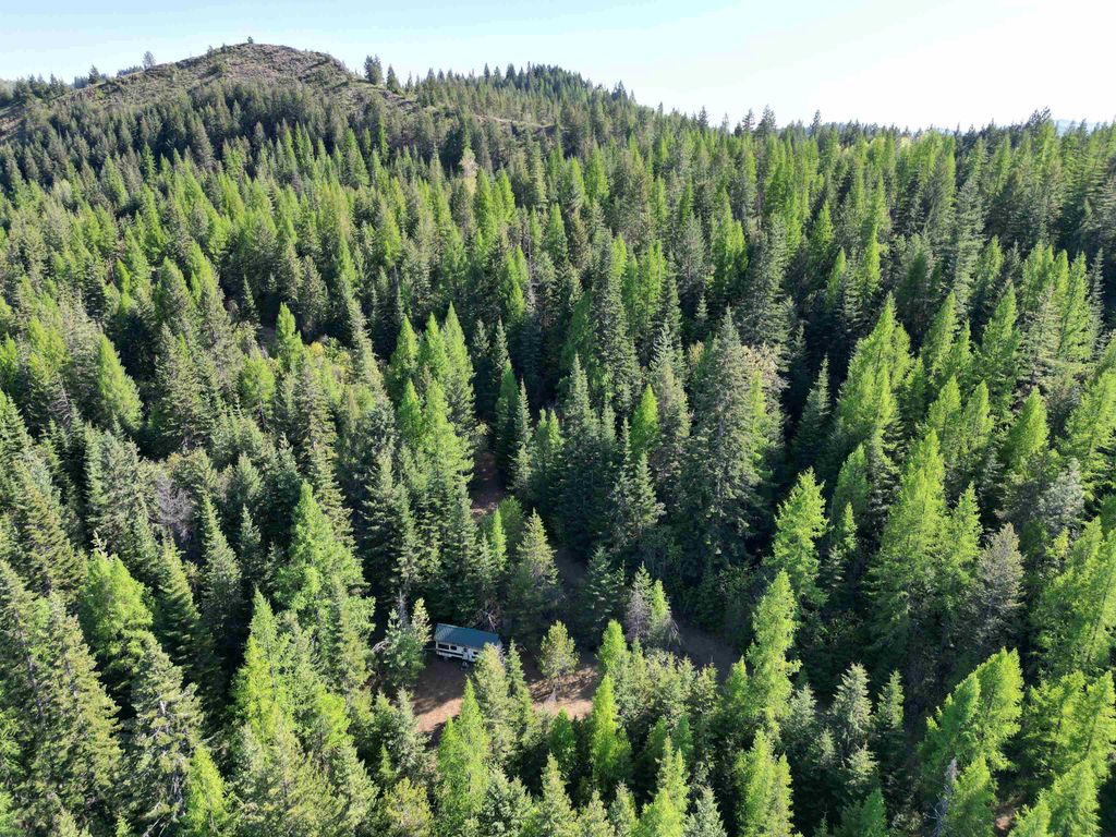 NKA LOOKOUT Rd, Newport, WA 99156 photo 25