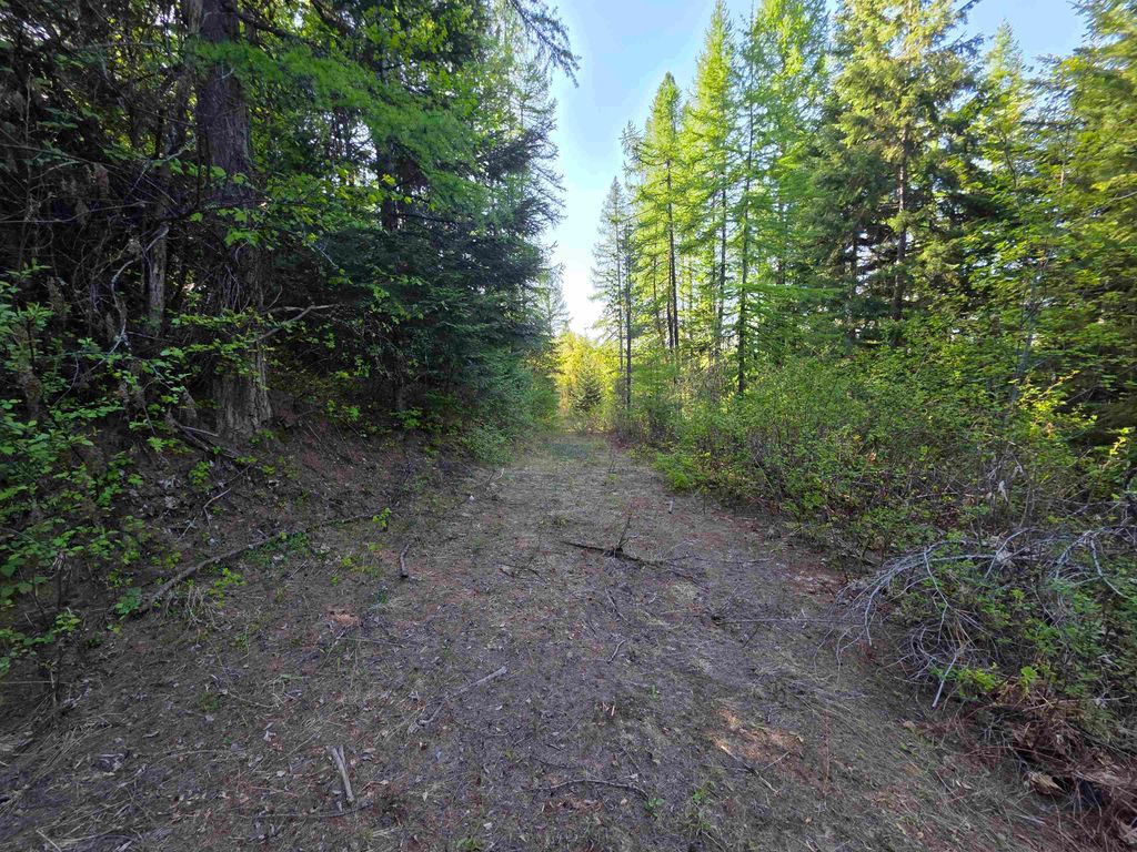 NKA LOOKOUT Rd, Newport, WA 99156 photo 37