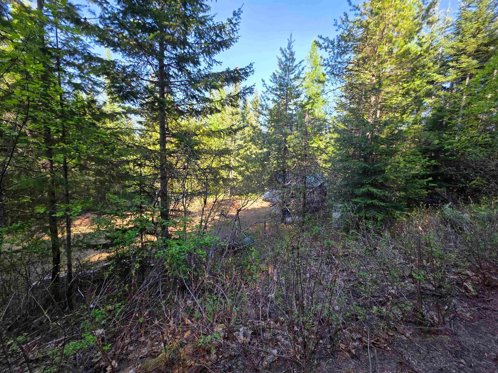 NKA LOOKOUT Rd, Newport, WA 99156 photo 39