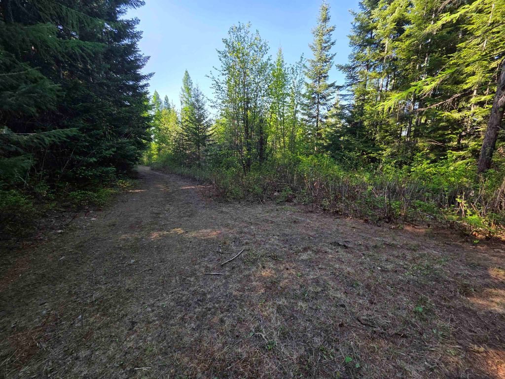 NKA LOOKOUT Rd, Newport, WA 99156 photo 40