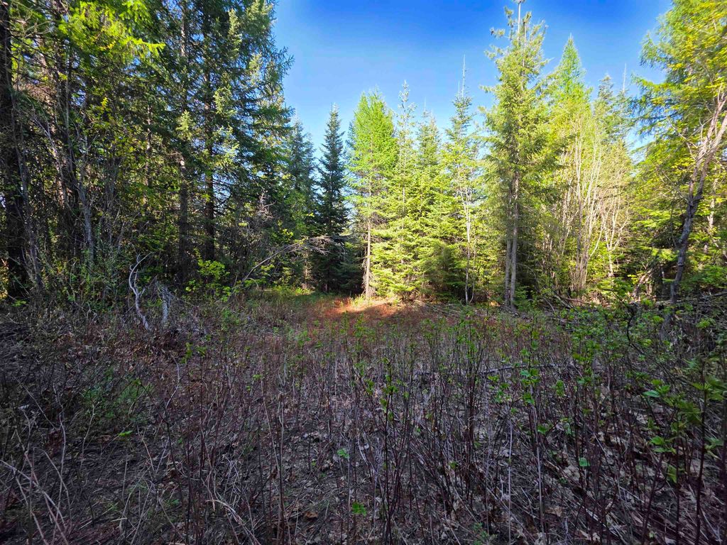 NKA LOOKOUT Rd, Newport, WA 99156 photo 41