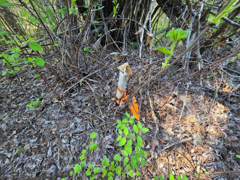 NKA LOOKOUT Rd, Newport, WA 99156 photo 43