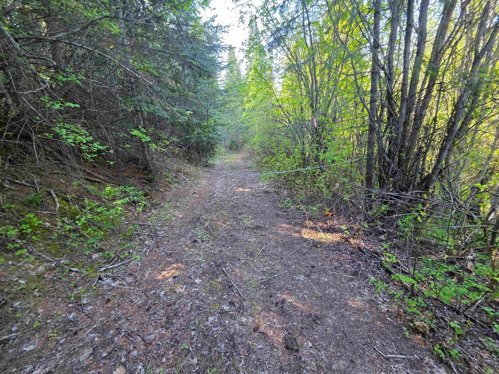 NKA LOOKOUT Rd, Newport, WA 99156 photo 44