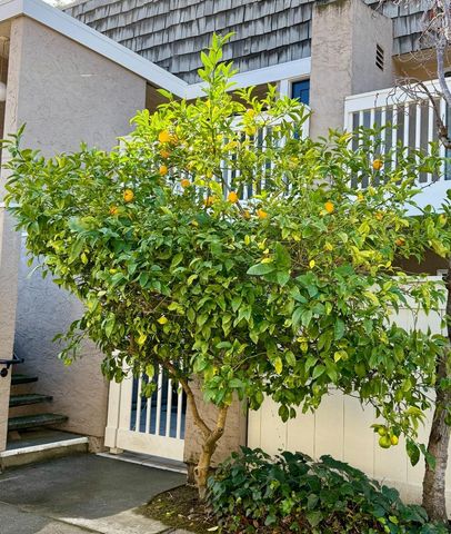 675 Sharon Park Drive 144, Menlo Park, CA 94025