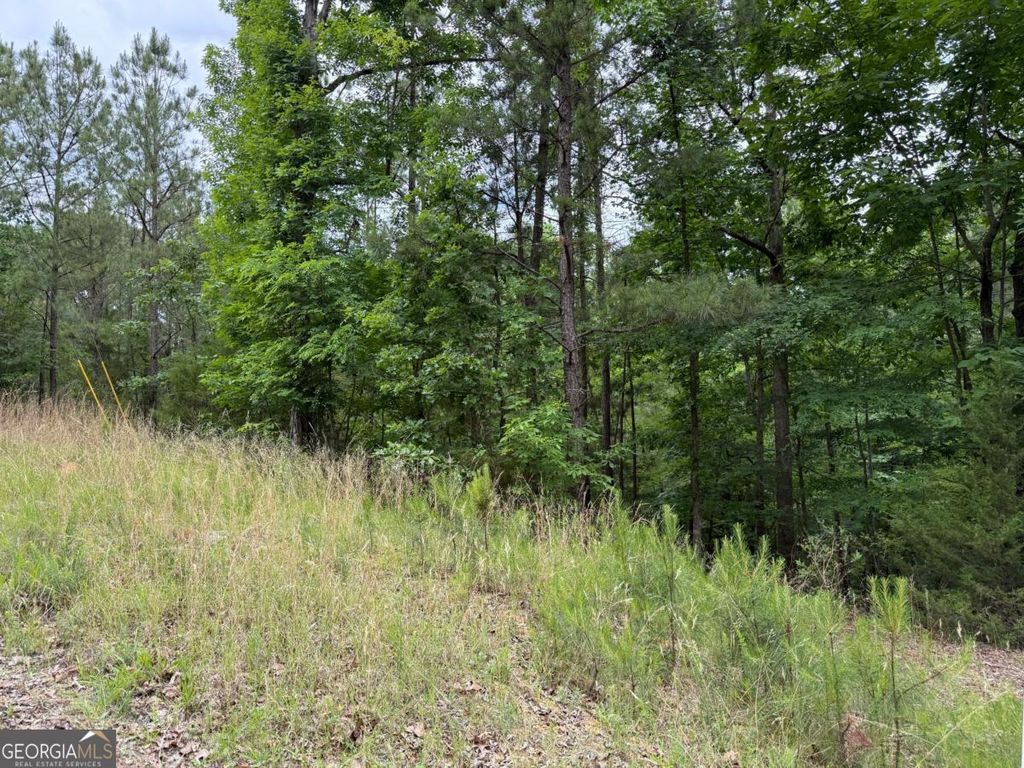 LOT 51 Bramlett Cr, Elberton, GA 30635 — photo 3