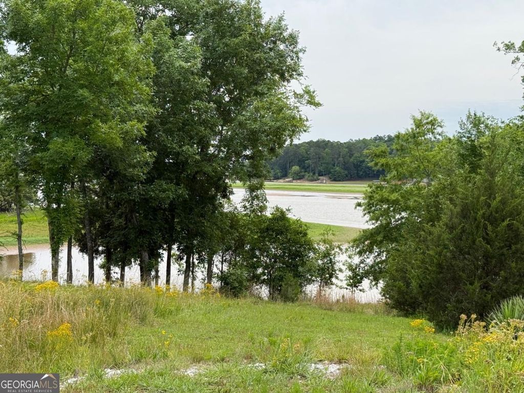 LOT 51 Bramlett Cr, Elberton, GA 30635 — photo 4