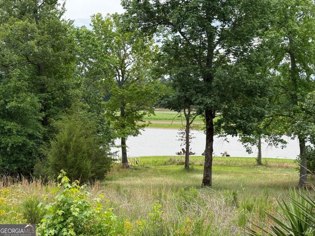 LOT 51 Bramlett Cr, Elberton, GA 30635 — photo 5