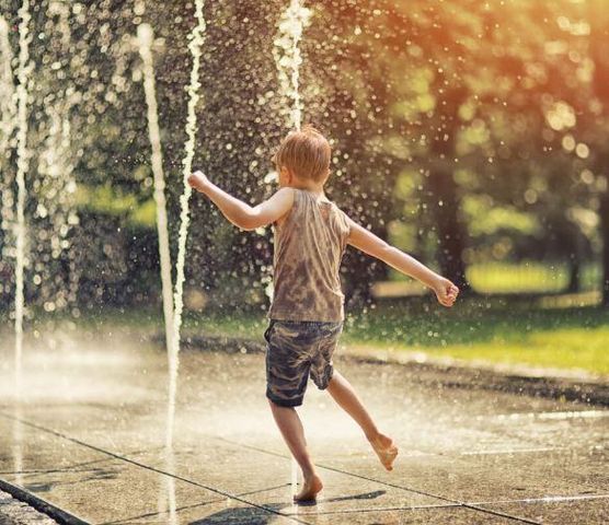 1015 Legacy Drive, Delano, MN 55328