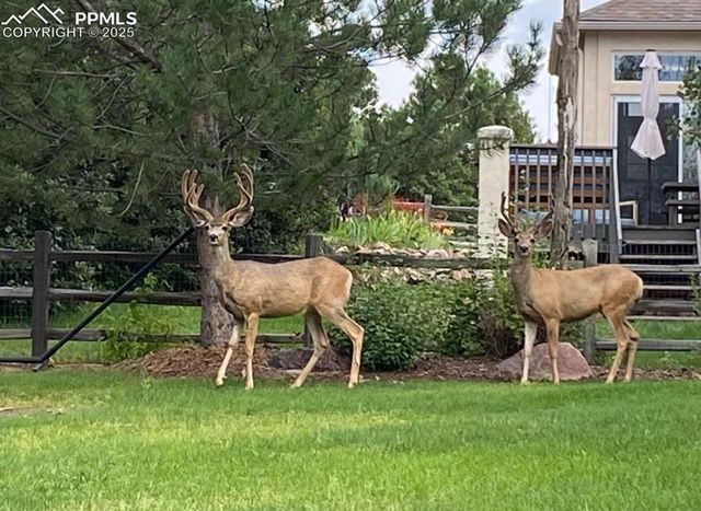 12931 Brookhill Drive, Colorado Springs, CO 80921