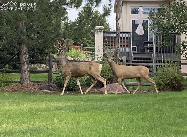 12931 Brookhill Drive, Colorado Springs, CO 80921