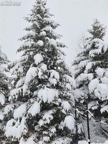 12931 Brookhill Drive, Colorado Springs, CO 80921