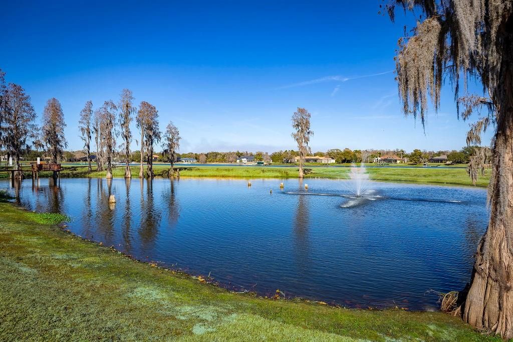 Image 10 of property listing at 17933 PATTERSON ROAD, Odessa, FL 33556