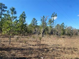 235 MICHIGAN DRIVE, Hawthorne, FL 32640