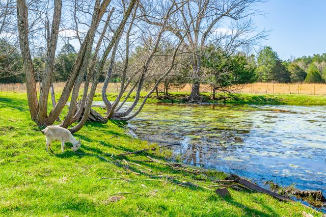 00 Poplar Springs Road, Ringgold, GA 30736