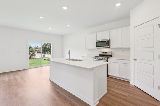 2829 Savana Drive, Joliet, IL 60435