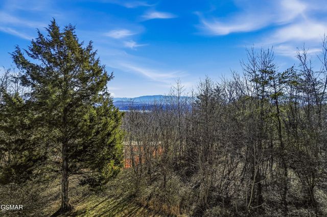 2812 Burnett Drive, Kodak, TN 37764
