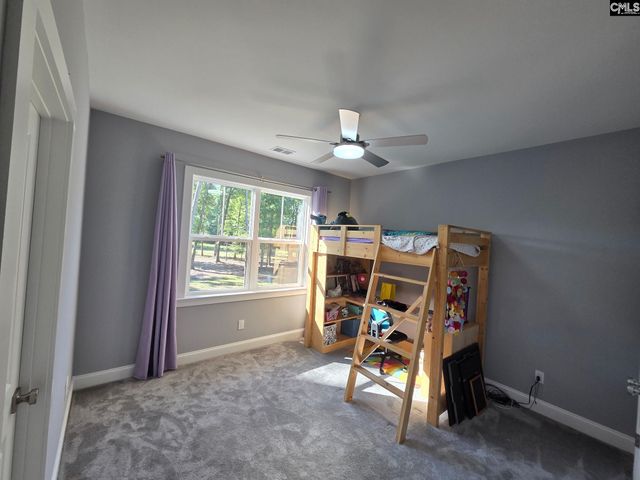 1348 Dreher Island Road, Chapin, SC 29036