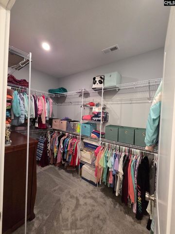 1348 Dreher Island Road, Chapin, SC 29036