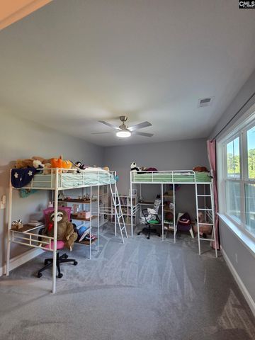 1348 Dreher Island Road, Chapin, SC 29036
