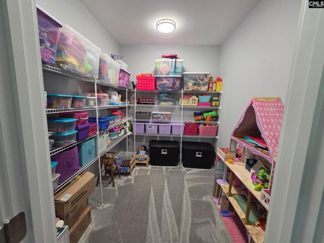 1348 Dreher Island Road, Chapin, SC 29036