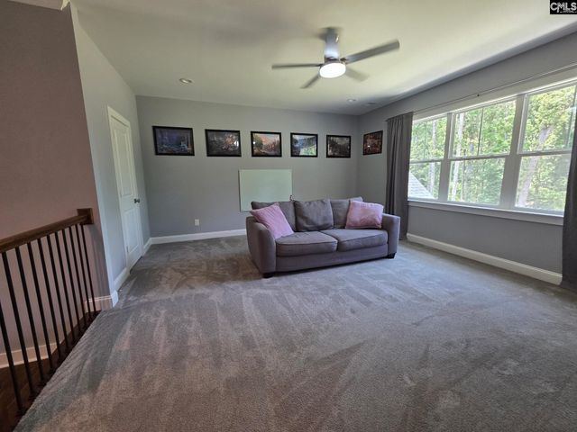 1348 Dreher Island Road, Chapin, SC 29036