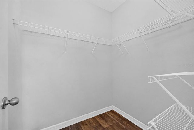 10406 ORCHID MIST COURT, Riverview, FL 33578