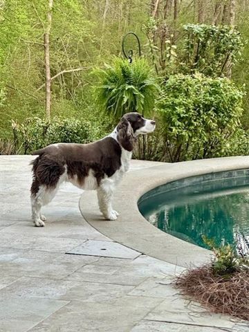 5425 Buckland Way SE, Smyrna, GA 30126