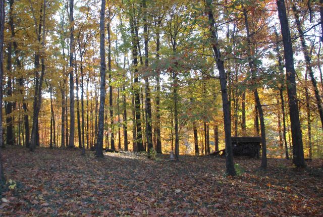 2544 Barwood Dr, Greenbrier, TN 37073