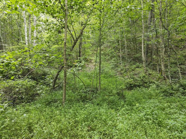 23584 Conrad Road, South Bloomingville, OH 43152