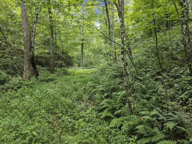 23584 Conrad Road, South Bloomingville, OH 43152