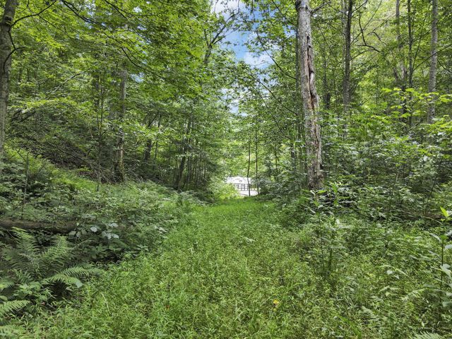 23584 Conrad Road, South Bloomingville, OH 43152